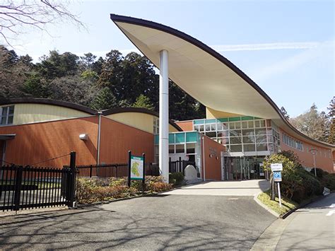 東北 植物|東北大学植物園｜東北大学学術資源研究公開センタ